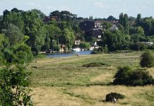 The Chester Meadows Chester Meadows