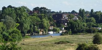 Chester Meadows