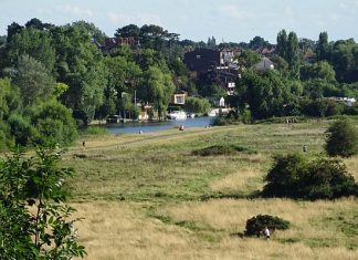 The Chester Meadows Chester Meadows