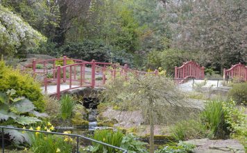 Chester Zoo Gardens Chester Zoo Gardens