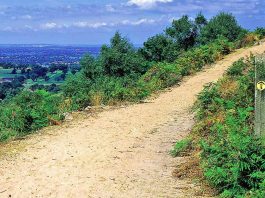 The Sandstone Trail
