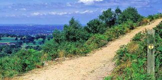 The Sandstone Trail