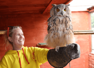 Chester Falconry and Nature Gardens Chester Falconry & Nature Gardens