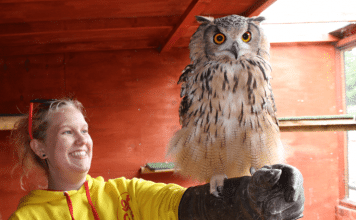 Chester Falconry and Nature Gardens Chester Falconry & Nature Gardens