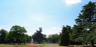 Grosvenor Park