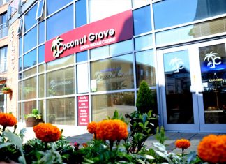 Koconut Grove Chester Koconut Grove