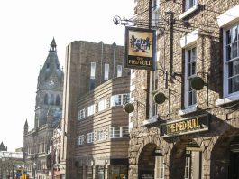 Pied Bull Chester