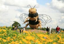 Snugburys Ice Cream Farm Snugburys Ice Cream Farm Bee Sculpture