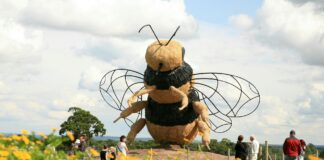 Snugburys Ice Cream Farm Bee Sculpture