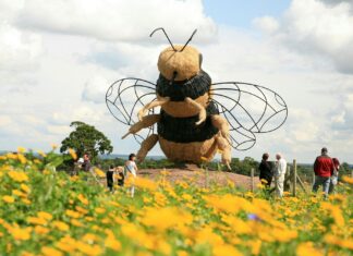 Snugburys Ice Cream Farm Bee Sculpture