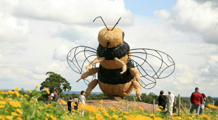 Snugburys Ice Cream Farm Snugburys Ice Cream Farm Bee Sculpture