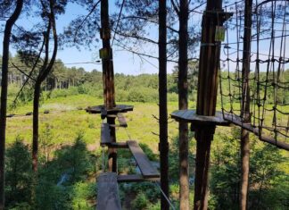 Go Ape Delamere Go Ape Delamere Forest