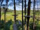 Go Ape Delamere Go Ape Delamere Forest