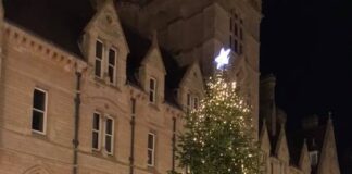 The Christmas Tree at Oxford Christmas Market.