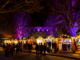 Winchester Christmas Market 2025 Wooden chalets at Winchester Christmas Market 2025 by the Cathedral