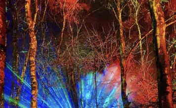 Magical Woodland Cheshire 2025