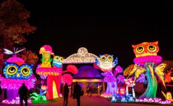 Gullivers Land Of Lights