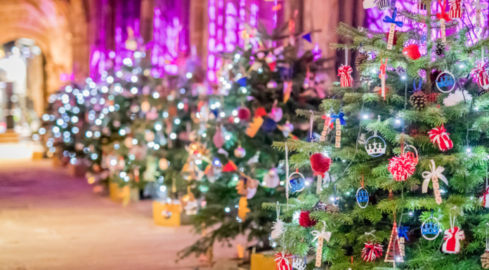 Chester Cathedral Christmas Tree Festival