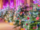 Chester Cathedral Christmas Tree Festival