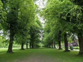 Marbury Country Park