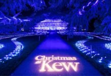Christmas at Kew 2025: Your Complete Visitor Guide to London’s Enchanting Christmas Lights Trail Christmas at Kew Gardens 2025