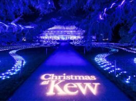 Christmas at Kew Gardens 2025