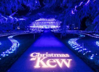 Christmas at Kew 2025: Your Complete Visitor Guide to London’s Enchanting Christmas Lights Trail Christmas at Kew Gardens 2025
