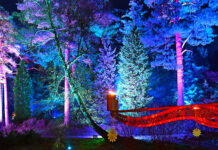 Bedgebury Christmas Lights: Your 2025 Guide to the Magical Light Trail Bedgebury Christmas Lights