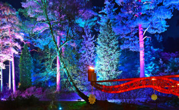 Bedgebury Christmas Lights: Your 2025 Guide to the Magical Light Trail Bedgebury Christmas Lights