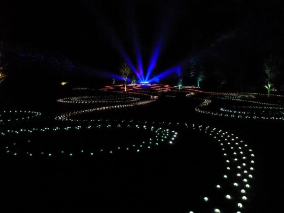 Sweeping lawn covered in looping rows of colour‑changing bulbs