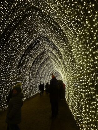 Visitors walk through a twinkling tunnel of fairy‑lights on the Blenheim trail