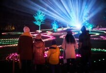 Christmas at Stourhead 2025: The Ultimate Guide to the Illuminated Trail Christmas at Stourhead 2025