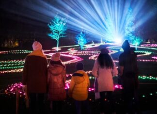 Christmas at Stourhead 2025: The Ultimate Guide to the Illuminated Trail Christmas at Stourhead 2025