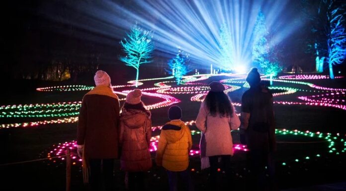 Christmas at Stourhead 2025: The Ultimate Guide to the Illuminated Trail Christmas at Stourhead 2025
