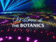 Christmas at the Botanics 2025: The Ultimate Guide to Edinburgh’s Dazzling Christmas Light Trail Christmas At The Botanics Edinburgh