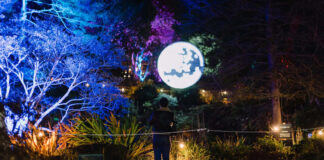 Luminate Birmingham Botanical Gardens Winter Light Trail 2025