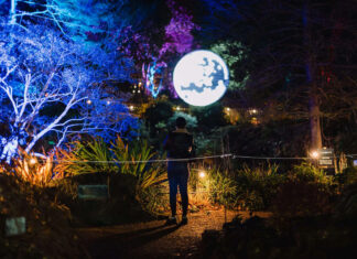 Luminate Birmingham Botanical Gardens Winter Light Trail 2025: The Definitive Guide Luminate Birmingham Botanical Gardens Winter Light Trail 2025