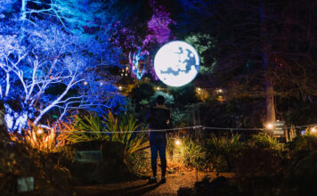 Luminate Birmingham Botanical Gardens Winter Light Trail 2025: The Definitive Guide Luminate Birmingham Botanical Gardens Winter Light Trail 2025