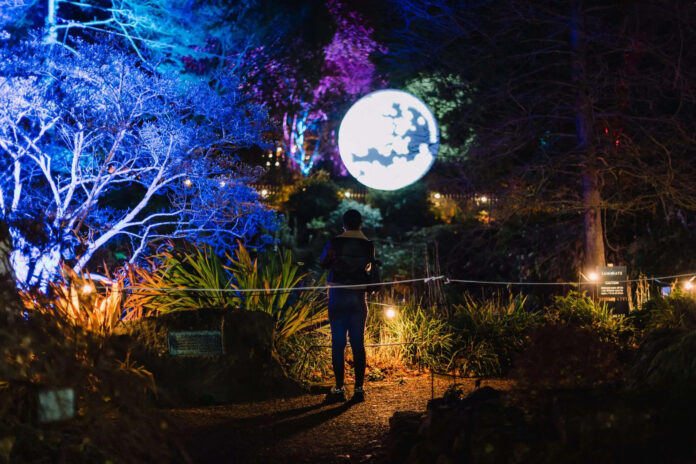 Luminate Birmingham Botanical Gardens Winter Light Trail 2025