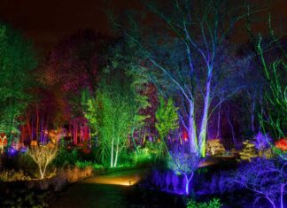 RHS Bridgewater Glow 2025: the ultimate guide to dates, tickets, parking & what to expect RHS Bridgewater Glow 2025