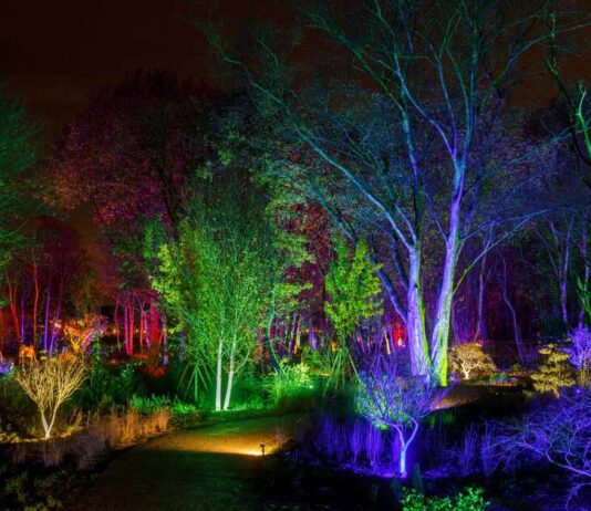 RHS Bridgewater Glow 2025