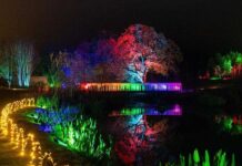 RHS Garden Harlow Carr Glow 2025: the complete guide (dates, tickets, parking, accessibility & tips) RHS Garden Harlow Carr Glow 2025