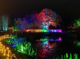 RHS Garden Harlow Carr Glow 2025