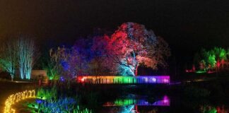 RHS Garden Harlow Carr Glow 2025
