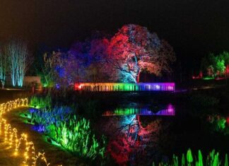 RHS Garden Harlow Carr Glow 2025: the complete guide (dates, tickets, parking, accessibility & tips) RHS Garden Harlow Carr Glow 2025