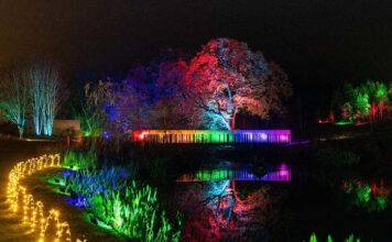 RHS Garden Harlow Carr Glow 2025: the complete guide (dates, tickets, parking, accessibility & tips) RHS Garden Harlow Carr Glow 2025