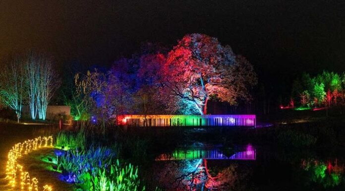 RHS Garden Harlow Carr Glow 2025: the complete guide (dates, tickets, parking, accessibility & tips) RHS Garden Harlow Carr Glow 2025