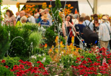 Southport Flower Show: the ultimate 2025 guide (dates, tickets, parking, dog‑friendly tips & more) Southport Flower Show 2025