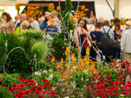 Southport Flower Show 2025