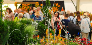Southport Flower Show 2025